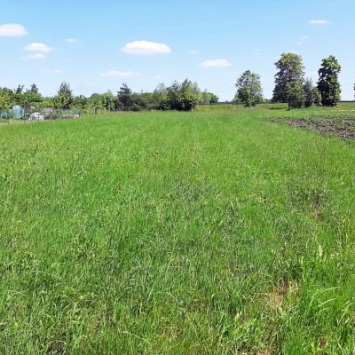 SPRZEDAŻ na DZIAŁKA w Stobierna