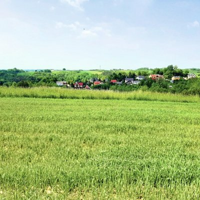 SPRZEDAŻ na DZIAŁKA w Wola Rafałowska